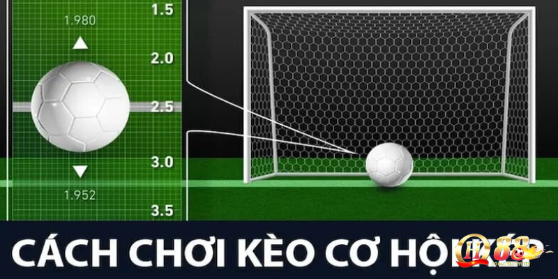 Kèo cơ hội kép mang tới cho bet thủ cơ hội giảm thiểu rủi ro tối ưu